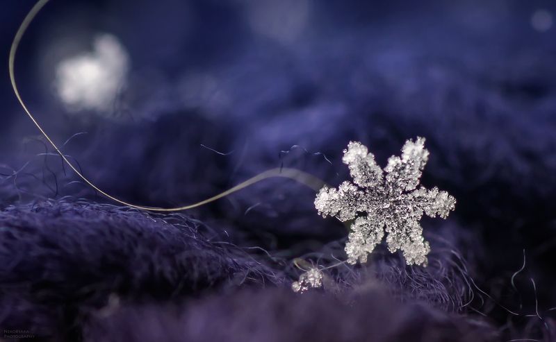макро, природа, снег, зима, снежинки, мороз, macro, nature, snow, winter, snowflakes, frost, снежинки с сосулькамиphoto preview
