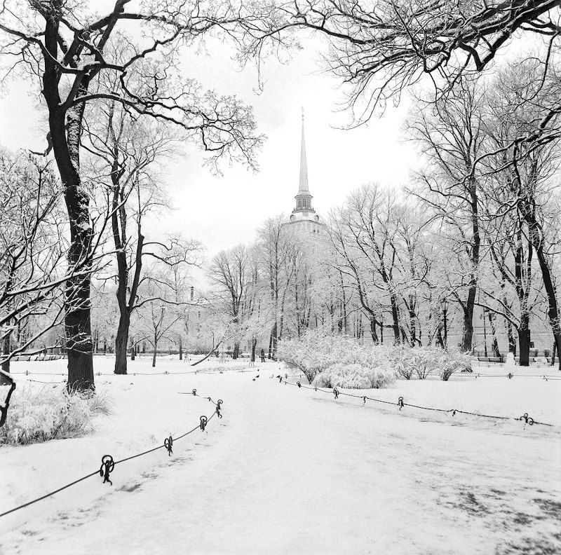 pentacon six, kodak t-max, biometar 120 f/2.8 mc, flektogon 50 f/4 Последний день зимыphoto preview