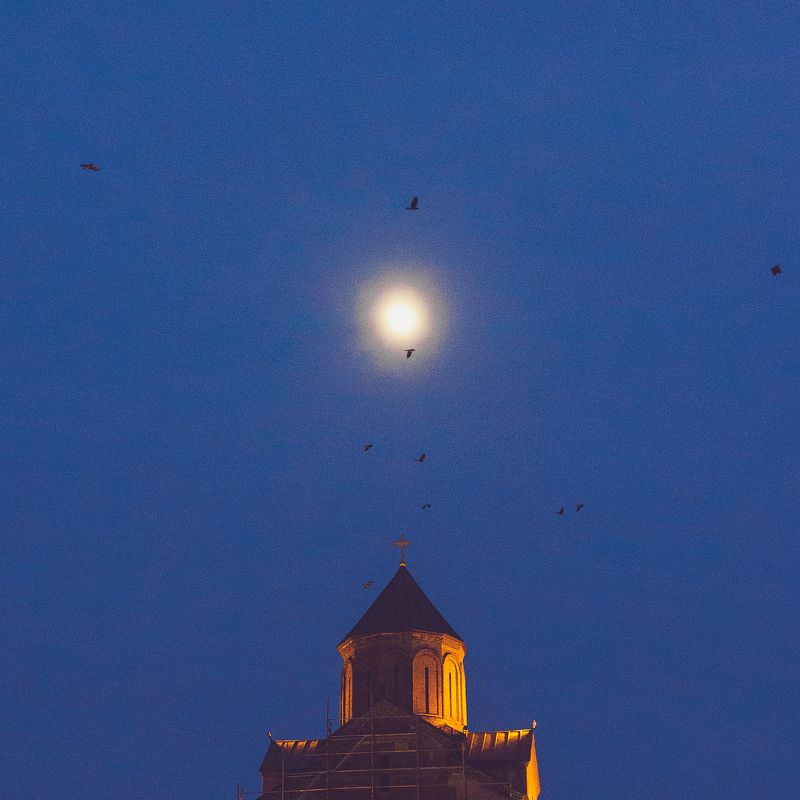 evening фото превью