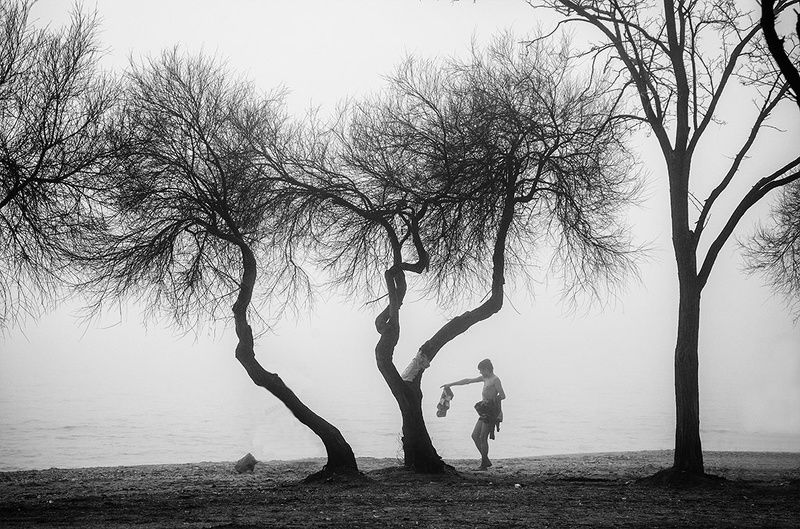 in cisinephoto preview