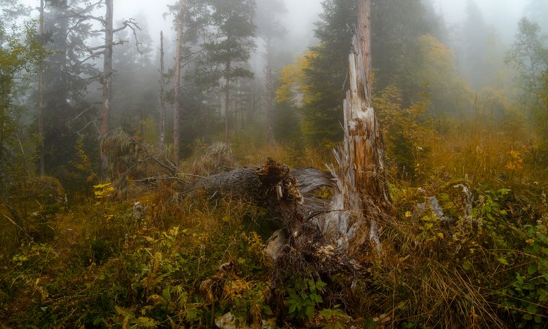 Осеньphoto preview