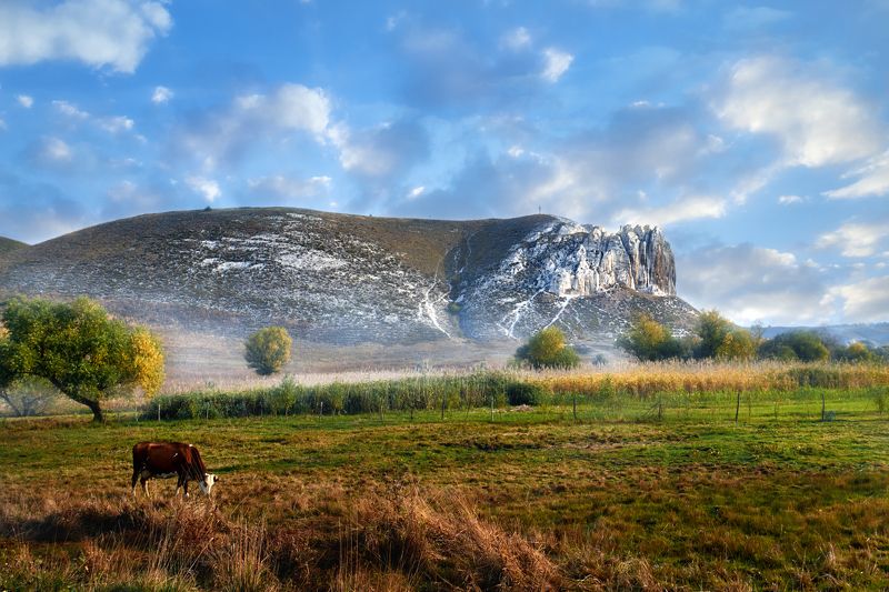 Белокузьминовка фото превью