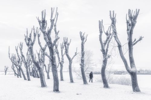 Замороженные