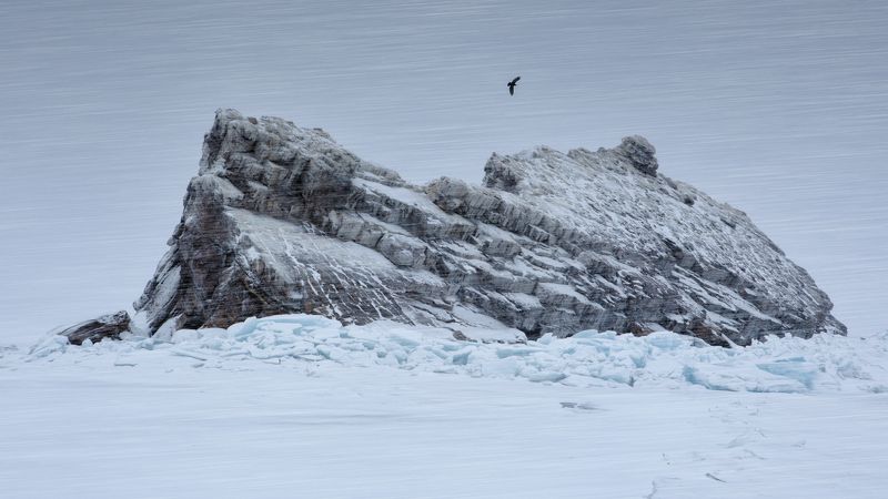 остров, байкал, зима, снег, метель, скалы, ворон, путешествие, стихия, борьба, ненастье, антон селезнев Ворон над островом Еленкаphoto preview
