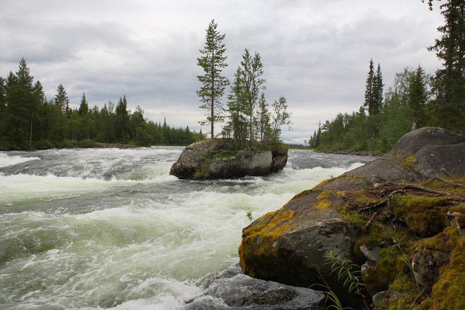 Падун на Умбе. Автор: Лопухов Сергей кольский, умба, порог, пасмурно, июль, Лопухов Сергей