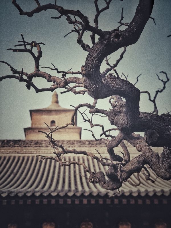 Great Wild Goose Pagoda Great Wild Goose Pagodaphoto preview