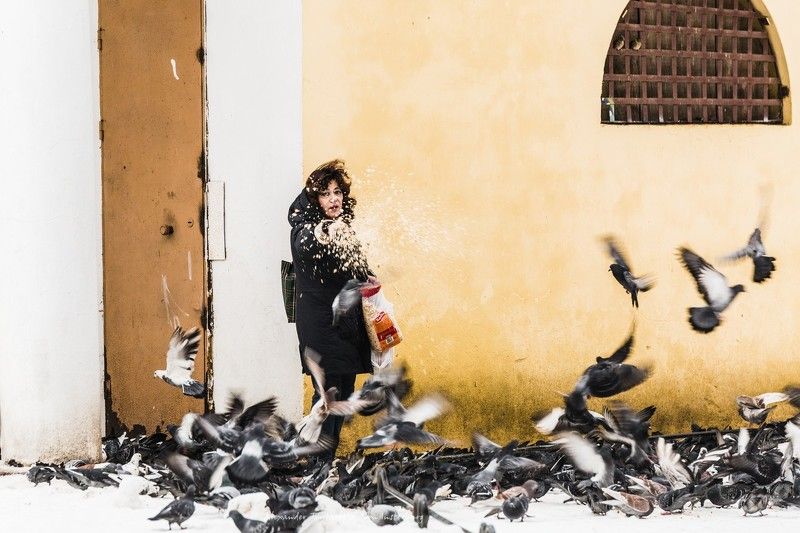 Люди, город, улица, жанр, человек, птицы, голуби, зима,   ***photo preview