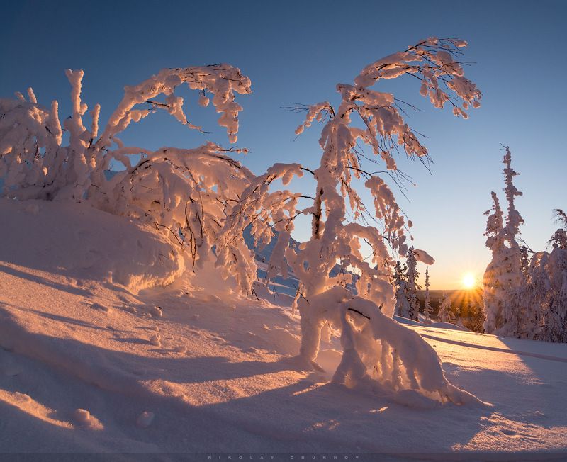 Зимний этюд / 0225_0032-0035photo preview