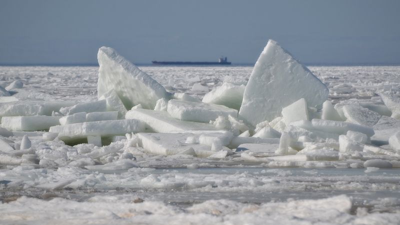 Будет ли лето этой зимой?photo preview