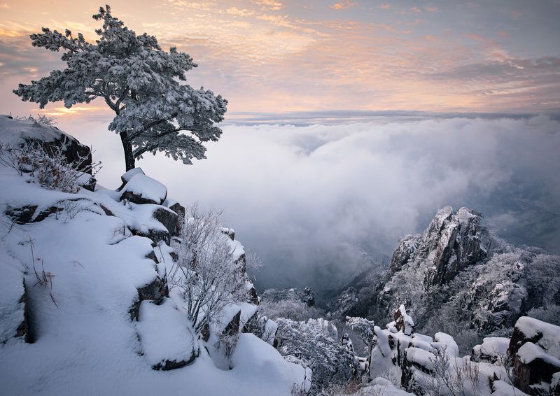 General\'s Watchmanphoto preview