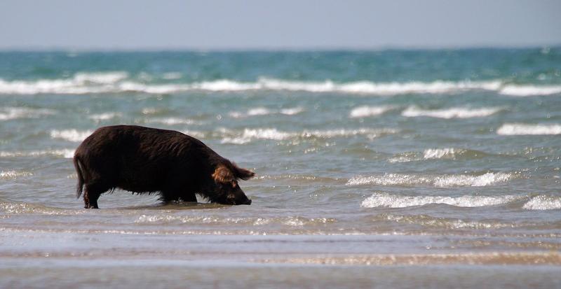 Солёненького захотелосьphoto preview