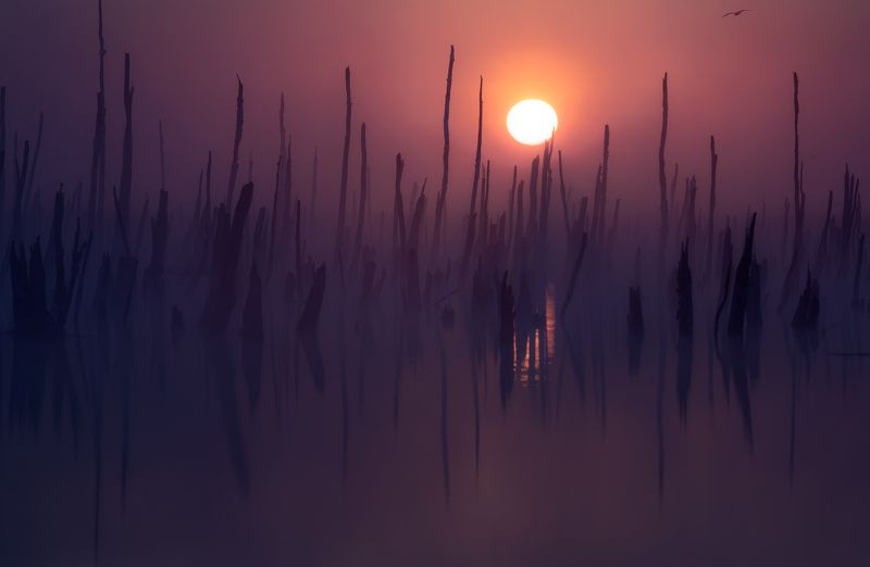 Вне времениphoto preview