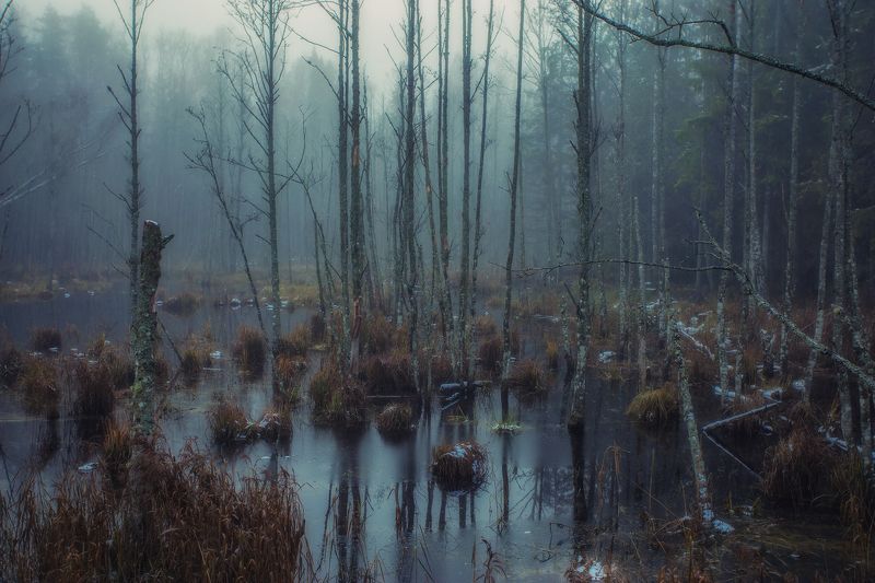 Xаосphoto preview