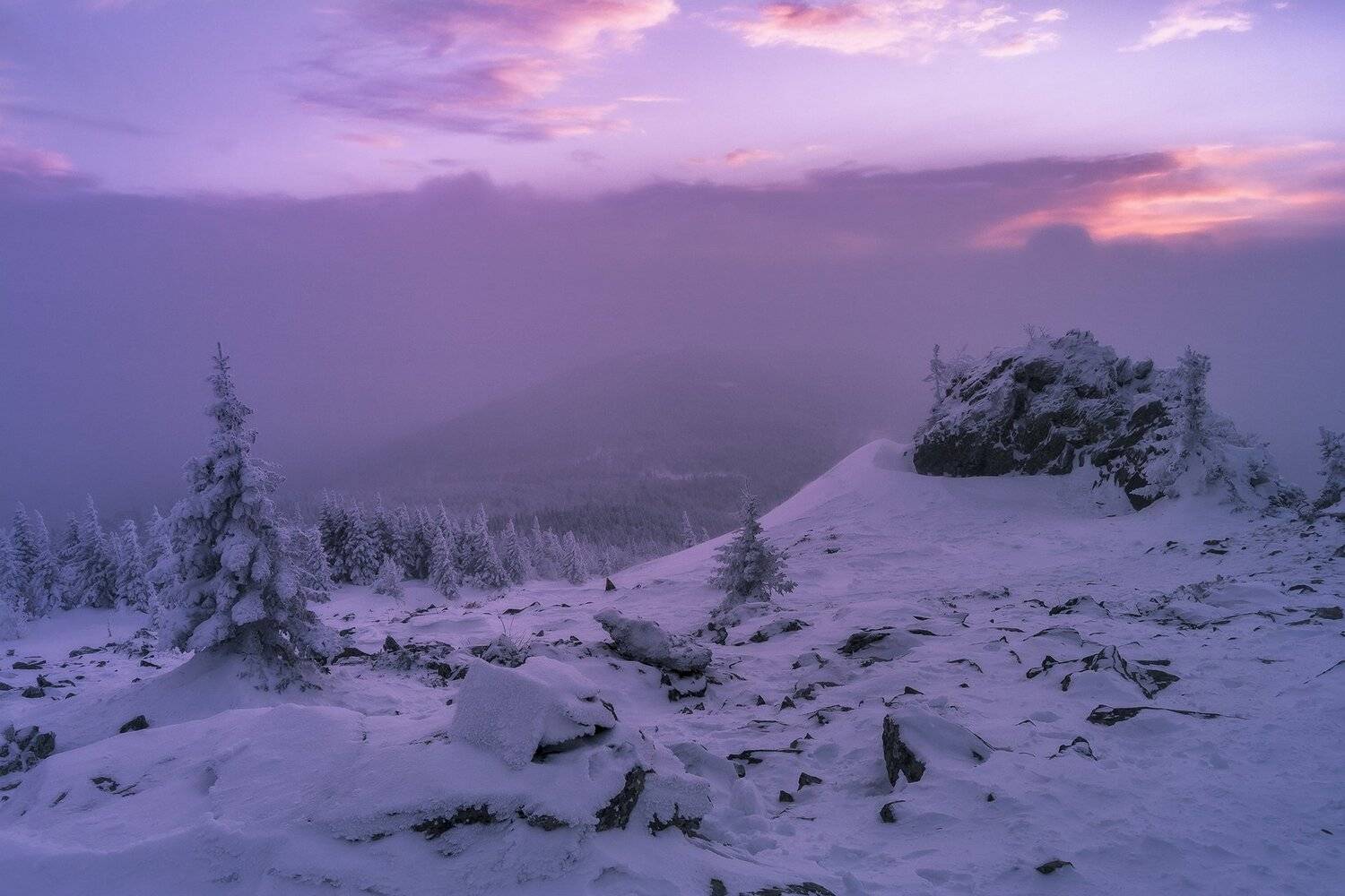 Там где кончается лес и начинаются облака.. Автор: Андрей Шарапов , Андрей Шарапов