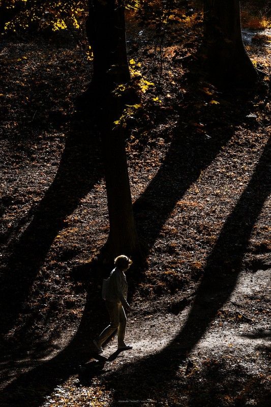 Люди, город, улица, жанр, свет, тени, человек, деревья, парк, осень,  ***photo preview