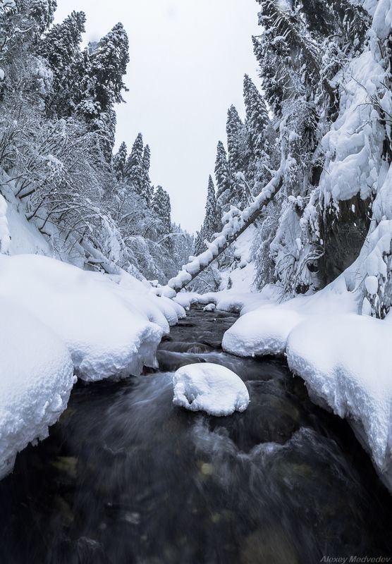 Домбай, КАВКАЗ, река	 Стою в студеной и стынуphoto preview