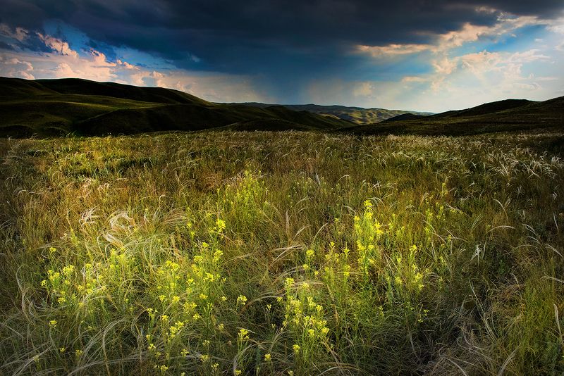 степь перед дождёмphoto preview