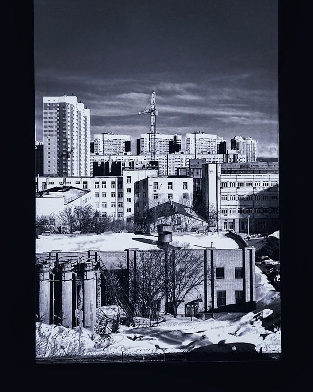 Муравейникphoto preview