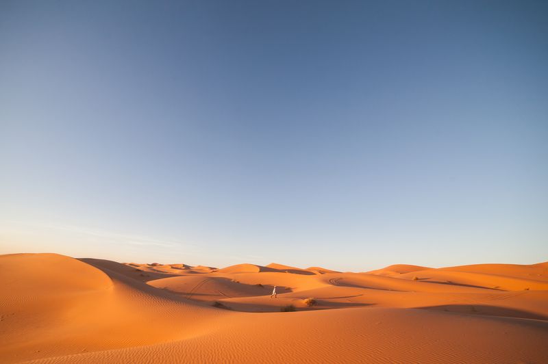 Открытка из пустыниphoto preview