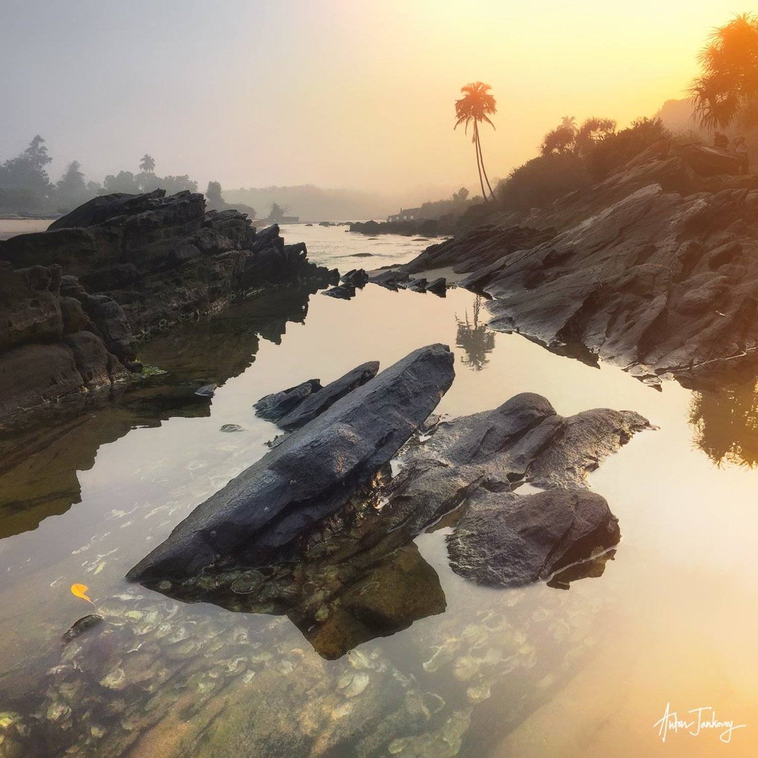 india, maharashtra, sea, rocks, tree, feflection, sunrise, beach  индия, махараштра, море, пляж, камни, скалы, отражение, Антон Янковой (www.photo-travel.com)