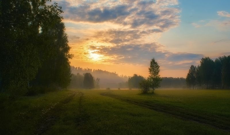 летнее утро,рассвет,луг,солнце, Медовый рассветphoto preview