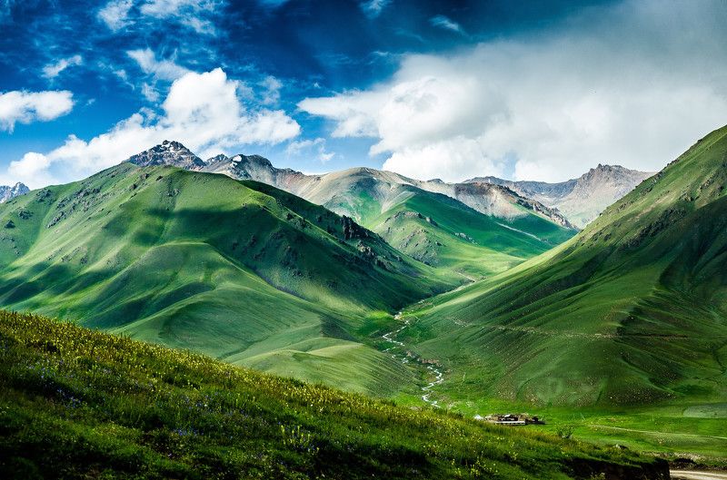 горы, природа, пейзаж, лето, перевал, зелень Калмак-Ашууphoto preview