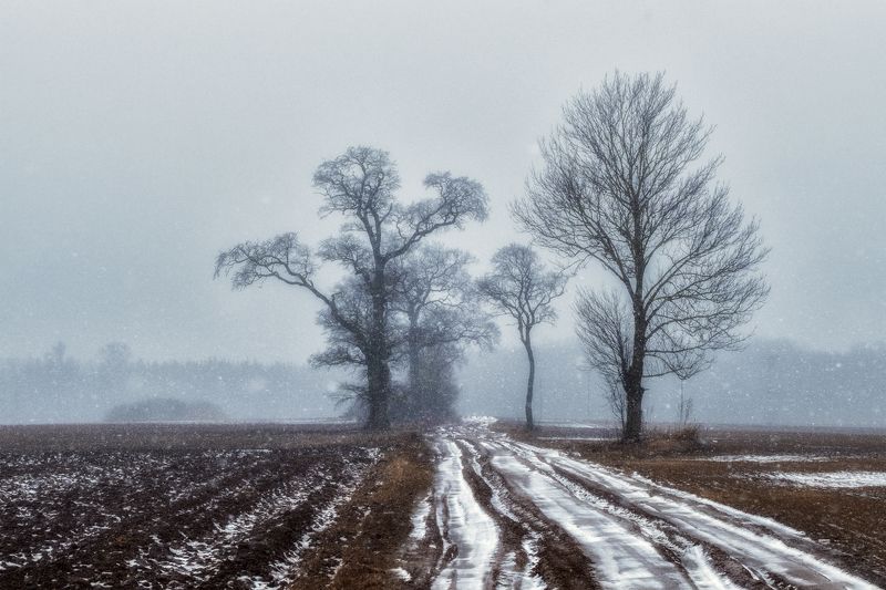 Периферияphoto preview