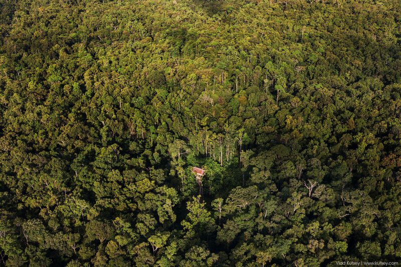 korowai, papua, treehouse, korowaitribe, папуа, короваи, джунгли, домнадереве В полной изоляцииphoto preview