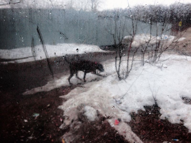 street ***photo preview