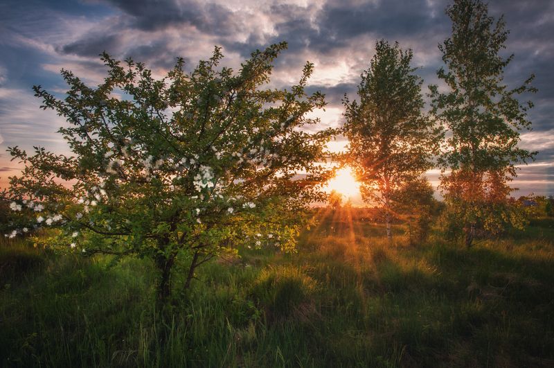 Майский вечер фото превью