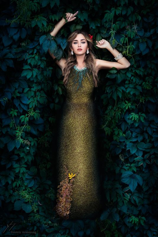 Мое портфолиоphoto preview