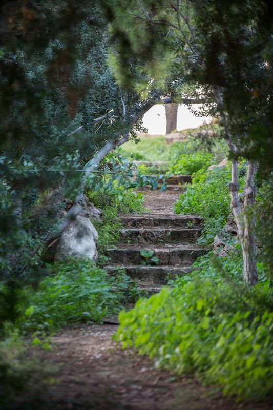 дорога, лестница, ступени, тропа, кипр, Пафос Тропаphoto preview