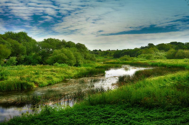 река, природа, лето, пейзаж Устье рекиphoto preview