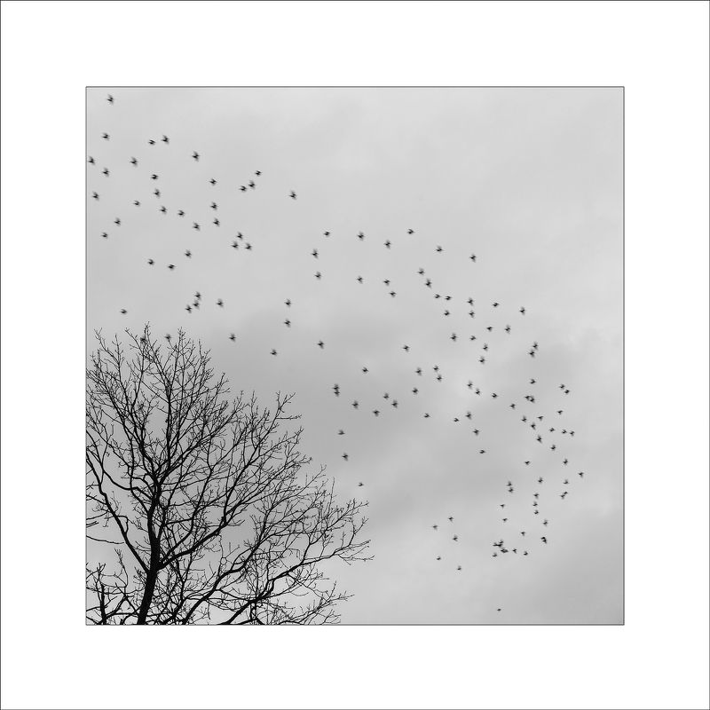 минимализм min.photo preview