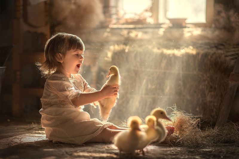 Лучикиphoto preview