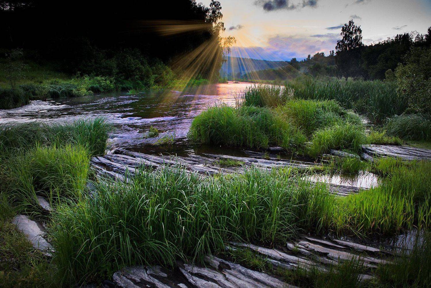 , Орлов Михаил