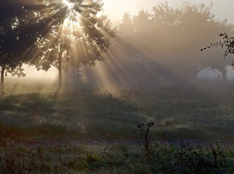 утро,свет,минск ...photo preview