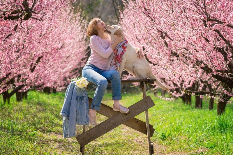 Персиковый садphoto preview