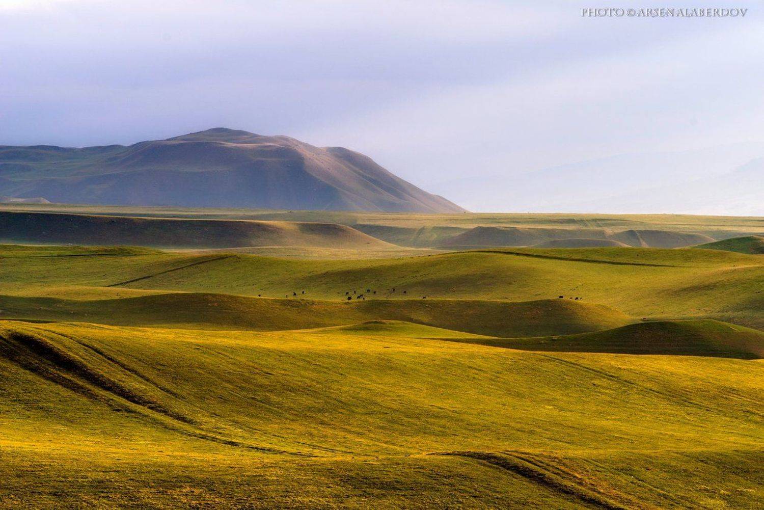 ВЕСЕННЯЯ КАРАЧАЕВО-ЧЕРКЕСИЯ. Автор: Арсен Алабердов весна, поле, холмы, равнина, долина, утро, небо, карачаево-черкесия, кавказ, простор, Арсен Алабердов