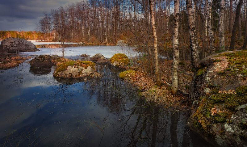 питер, вуокса, весна, пейзаж, васильево Весна на Вуоксе...photo preview