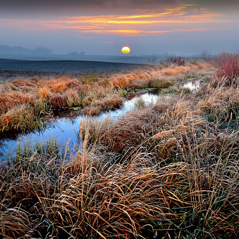 утро утроphoto preview