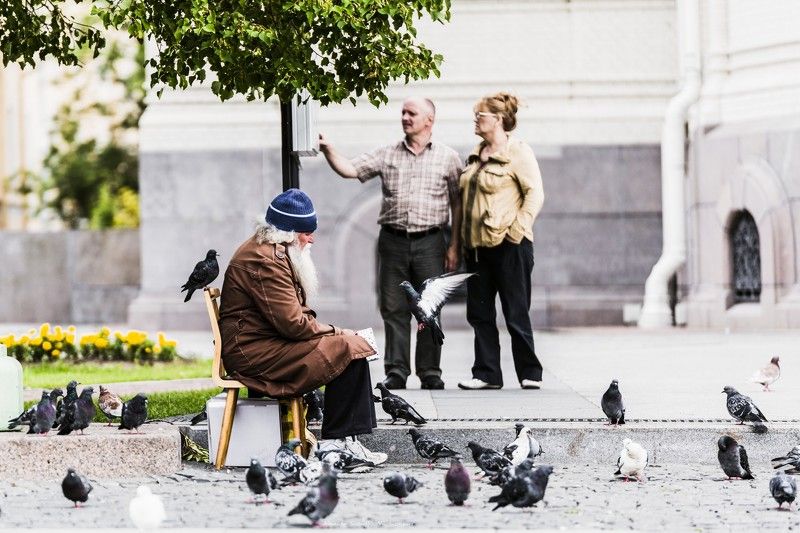 Люди, город, улица, жанр, человек,птицы, голуби,  ***photo preview