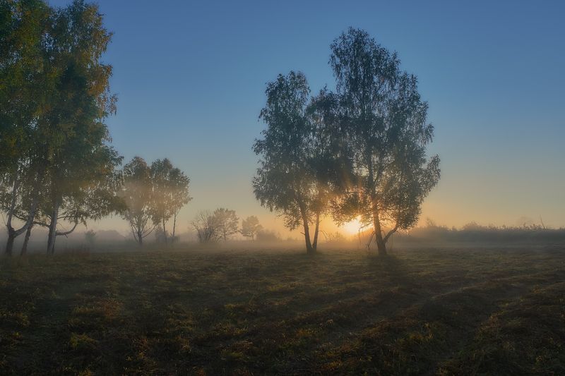 восход солнца, туман,скошенная трава,берёзы,лучи солнца Про туман и солнце...photo preview