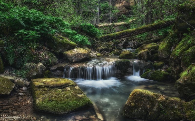 В зеленом царстве Берендея...photo preview