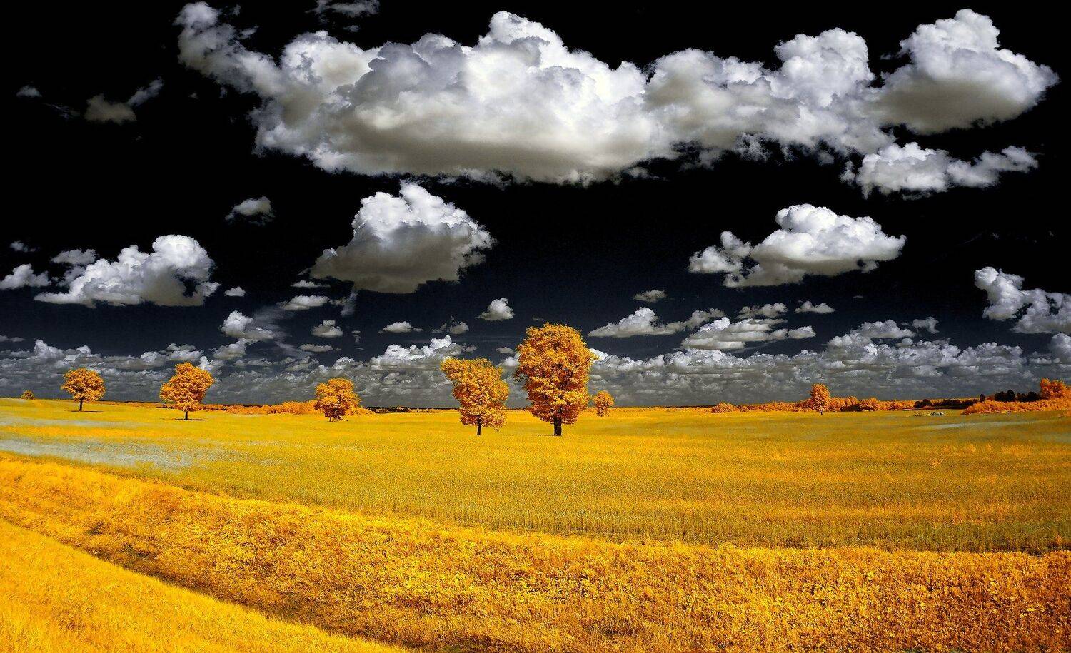 infrared,ик-фото,инфракрасное фото,инфракрасная фотография,пейзаж,природа,беларусь,лето, Sixten ( Сергей )