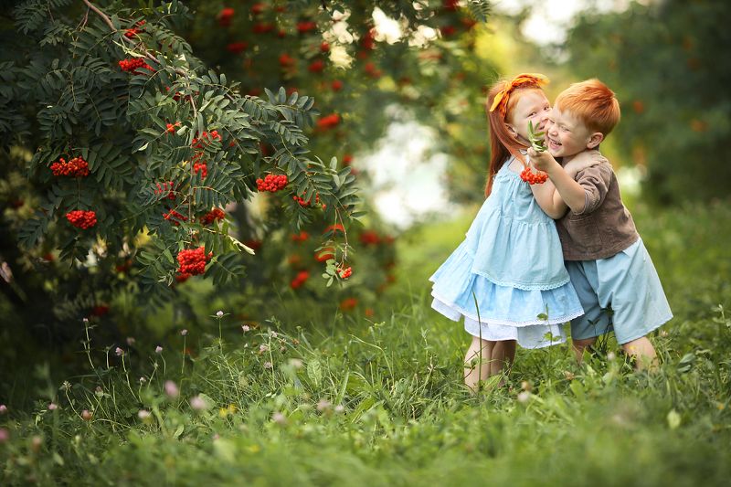 рыжикиphoto preview