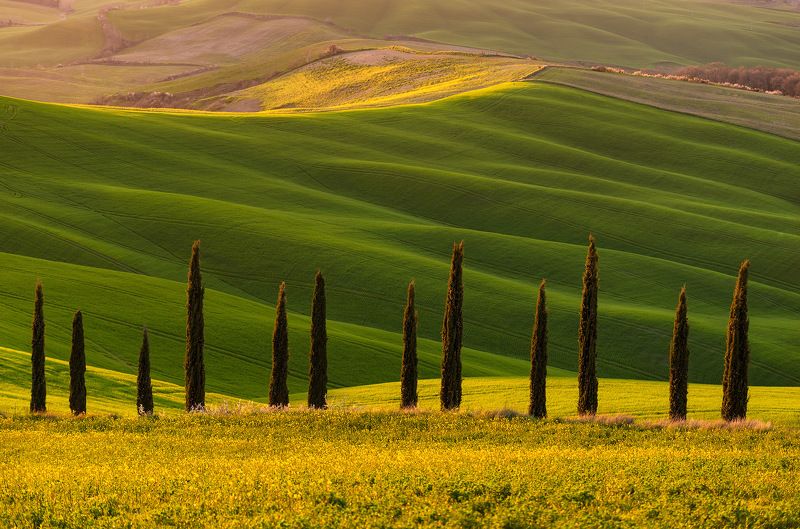 Tuscany, Crete Senesi, spring, valley, Тоскана, cipreses Тосканские мечтыphoto preview