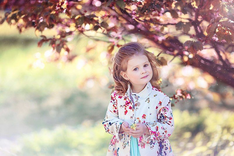 Поздняя сакураphoto preview