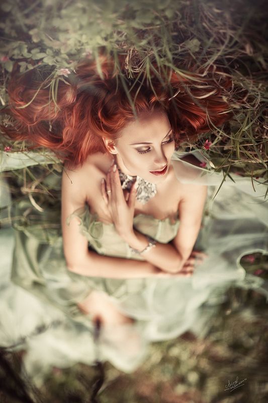 Мечтыphoto preview