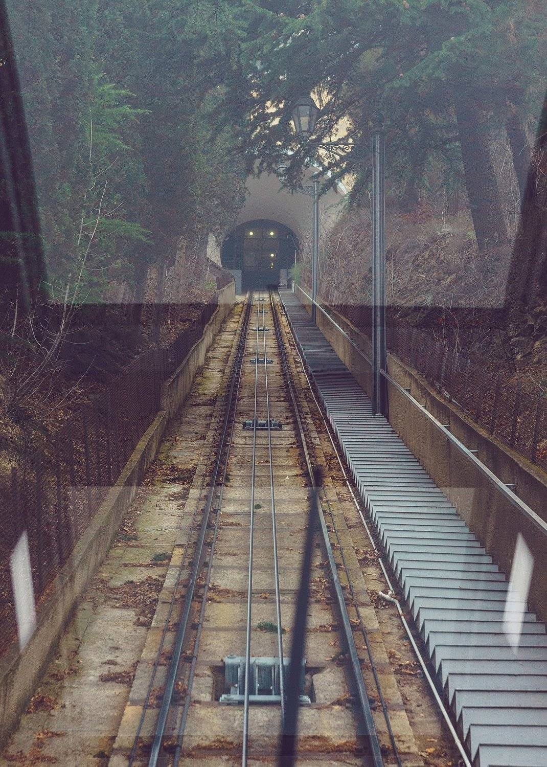 we dont need roads. Автор: Астрид Екатерина , Астрид Екатерина